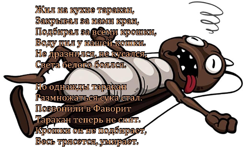 Санитарная служба Фаворит. Уничтожение тараканов и клопов.