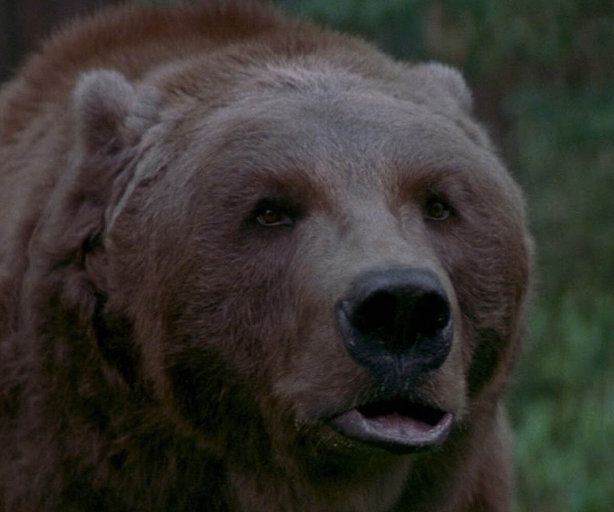 Кадр из фильма "На грани" (1997)