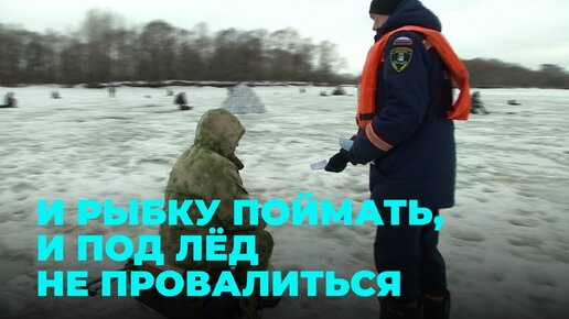 Растай видео