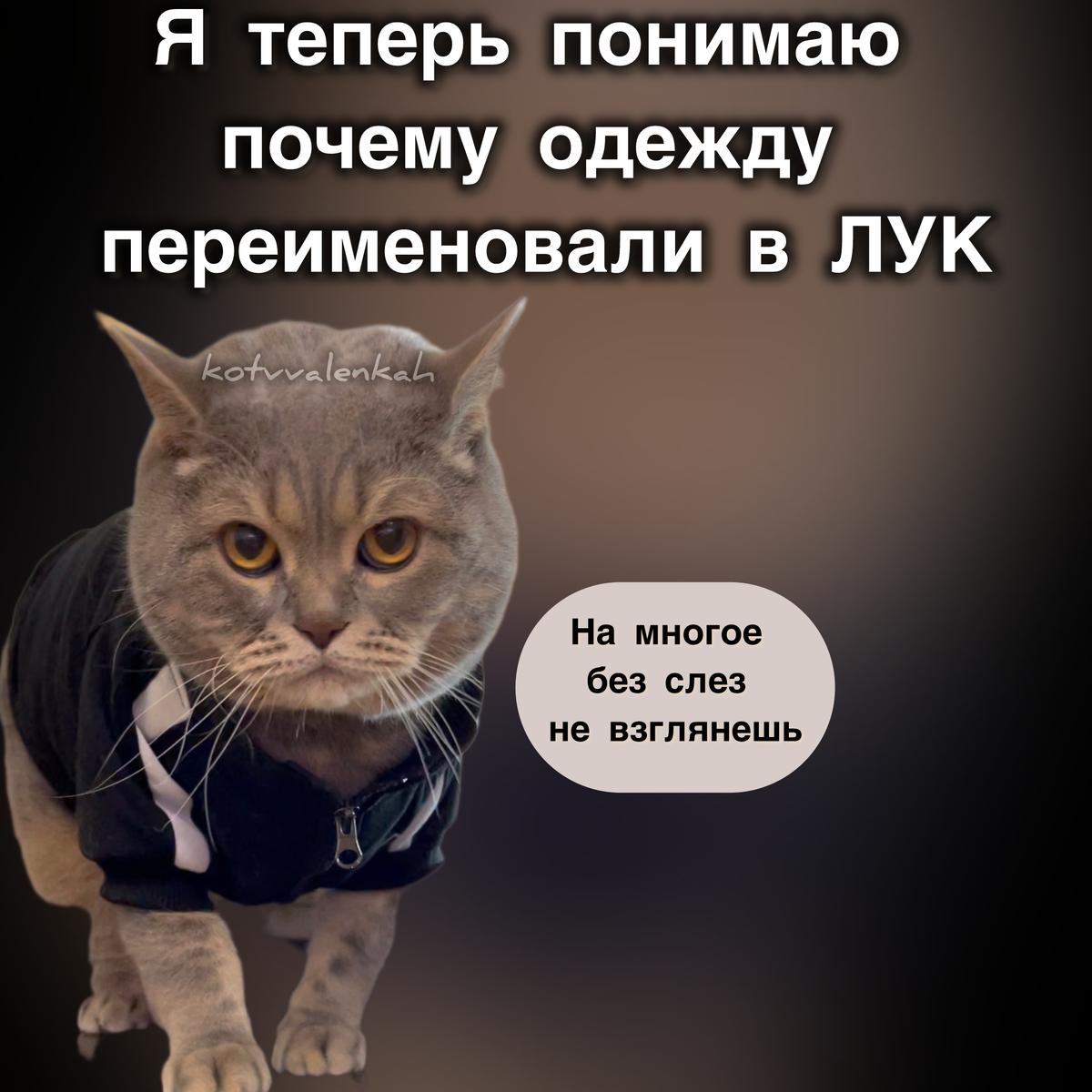 МЕМОрандум субботы или всё пошло по.. | Кот в валенках Марсель | Дзен