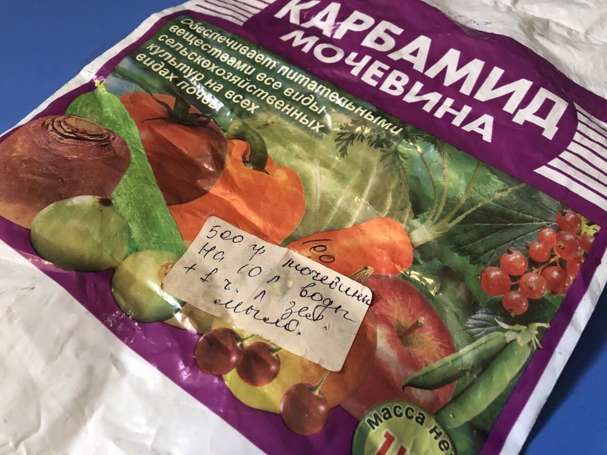 Обработка сада мочевиной с весны до осени - что можно, а чего нельзя ...