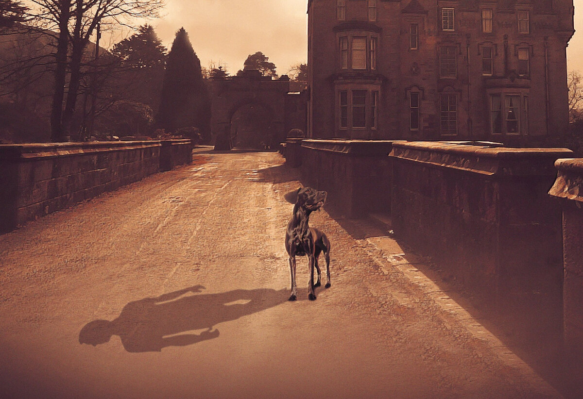 Overtoun (2014) by Samuel Horta