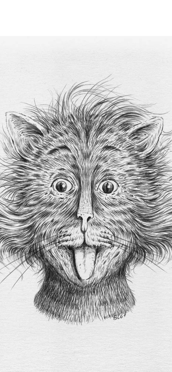 🩶🩶🩶🩶🩶🩶🩶🩶🩶🩶🩶🩶🩶🩶🩶🩶🩶🩶