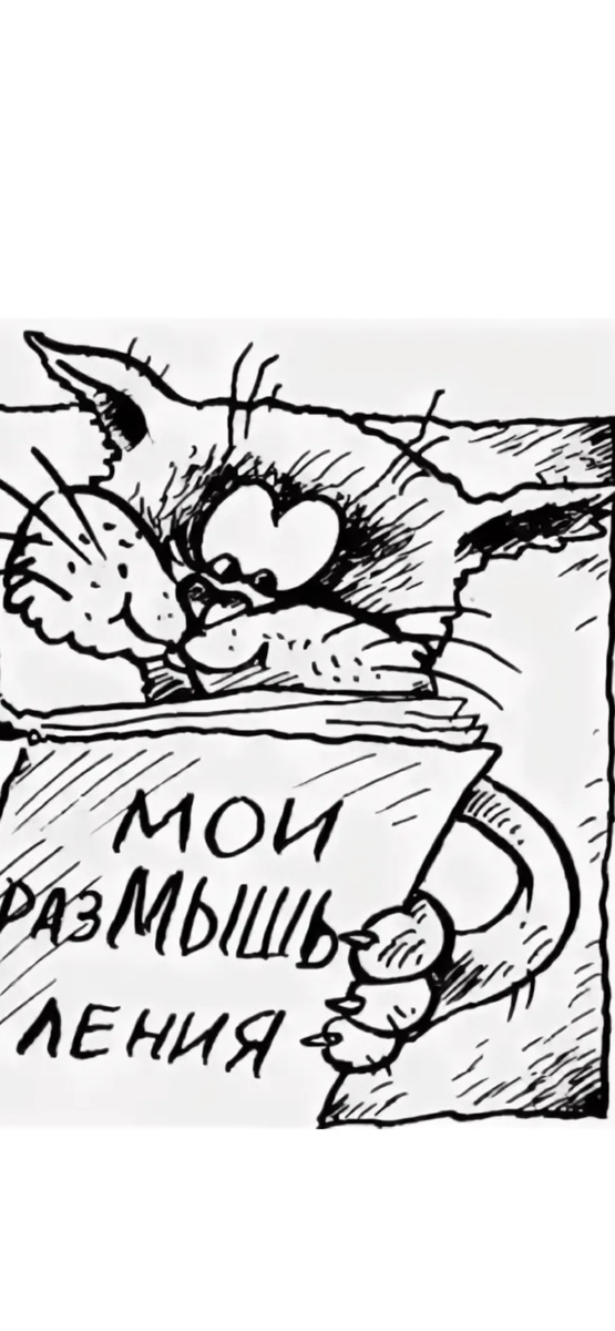 🩶🩶🩶🩶🩶🩶🩶🩶🩶🩶🩶🩶🩶🩶🩶🩶🩶