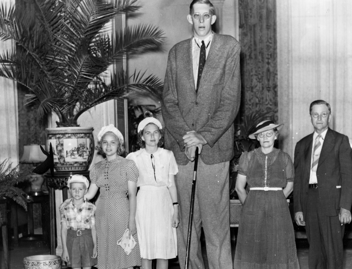 Последние годы жизни Роберта