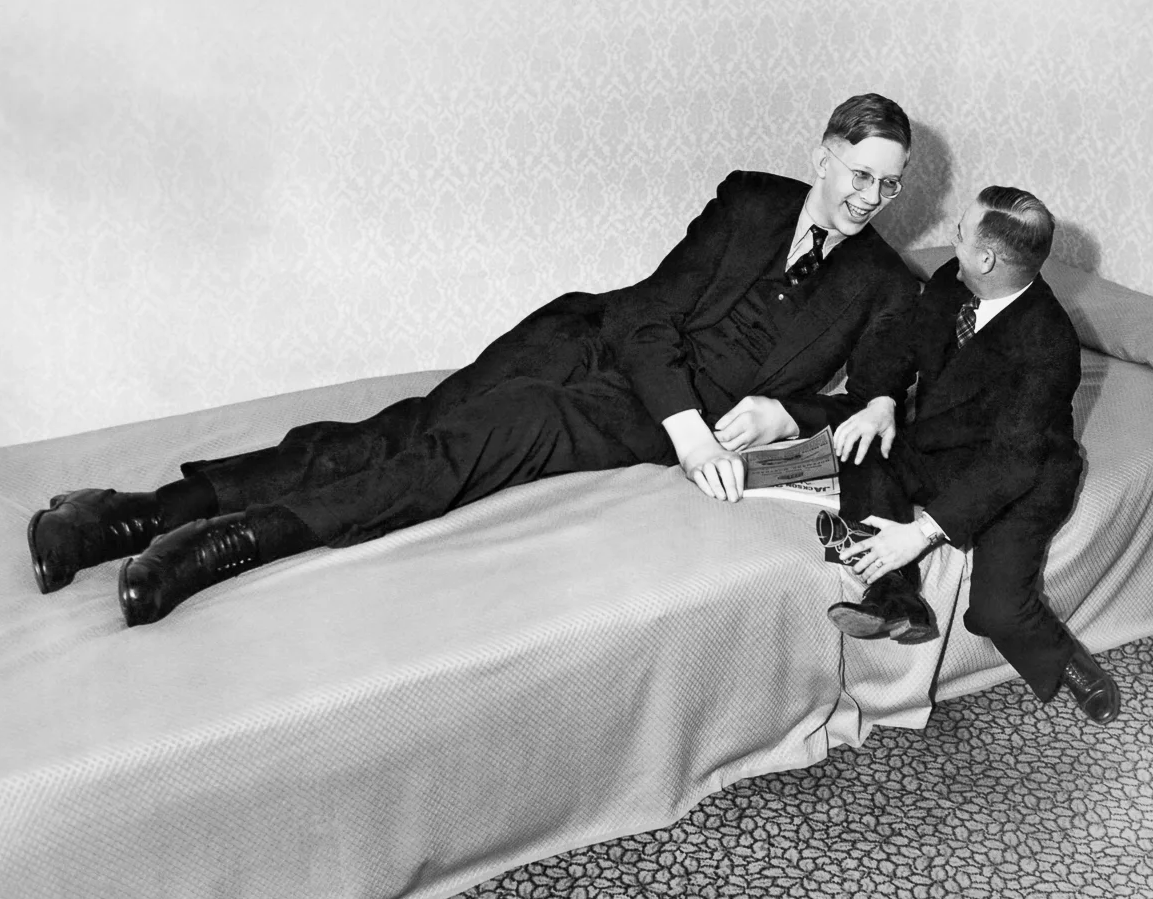 Роберт Уодлоу