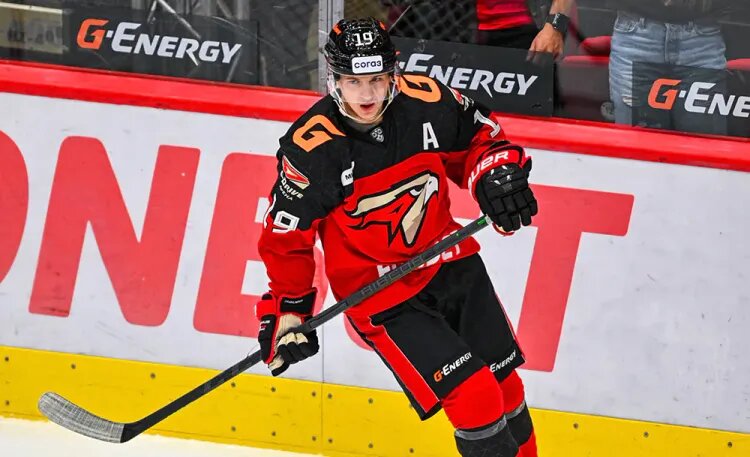    Источник фото: ХК «Авангард»