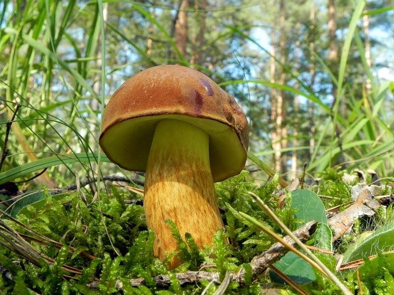 -2