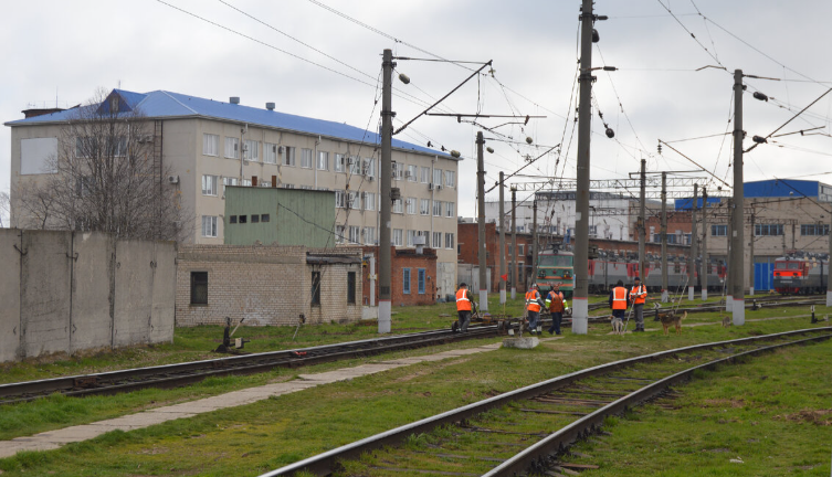 Фото автора. Март 2024. Собачки пришли на помощь!