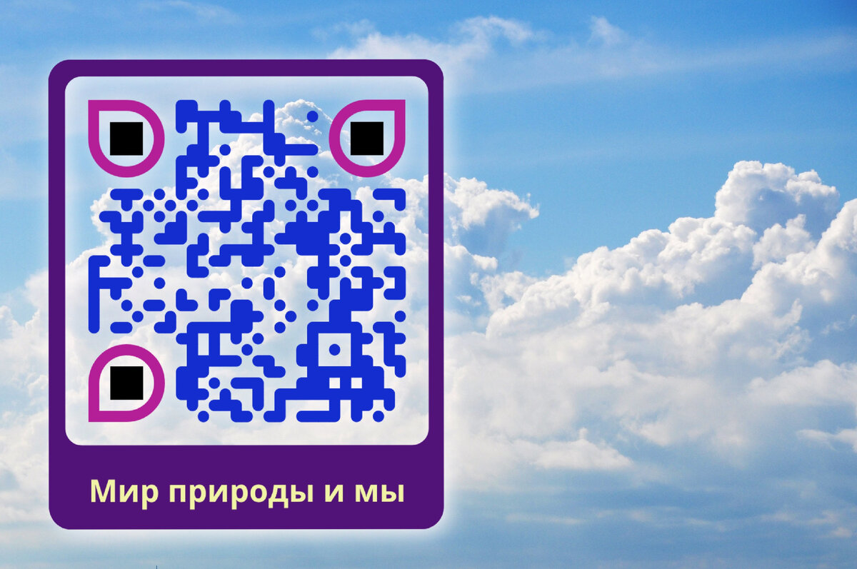 QR код канала "Мир природы и мы"