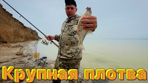 На Маныче наловил крупной плотвы.