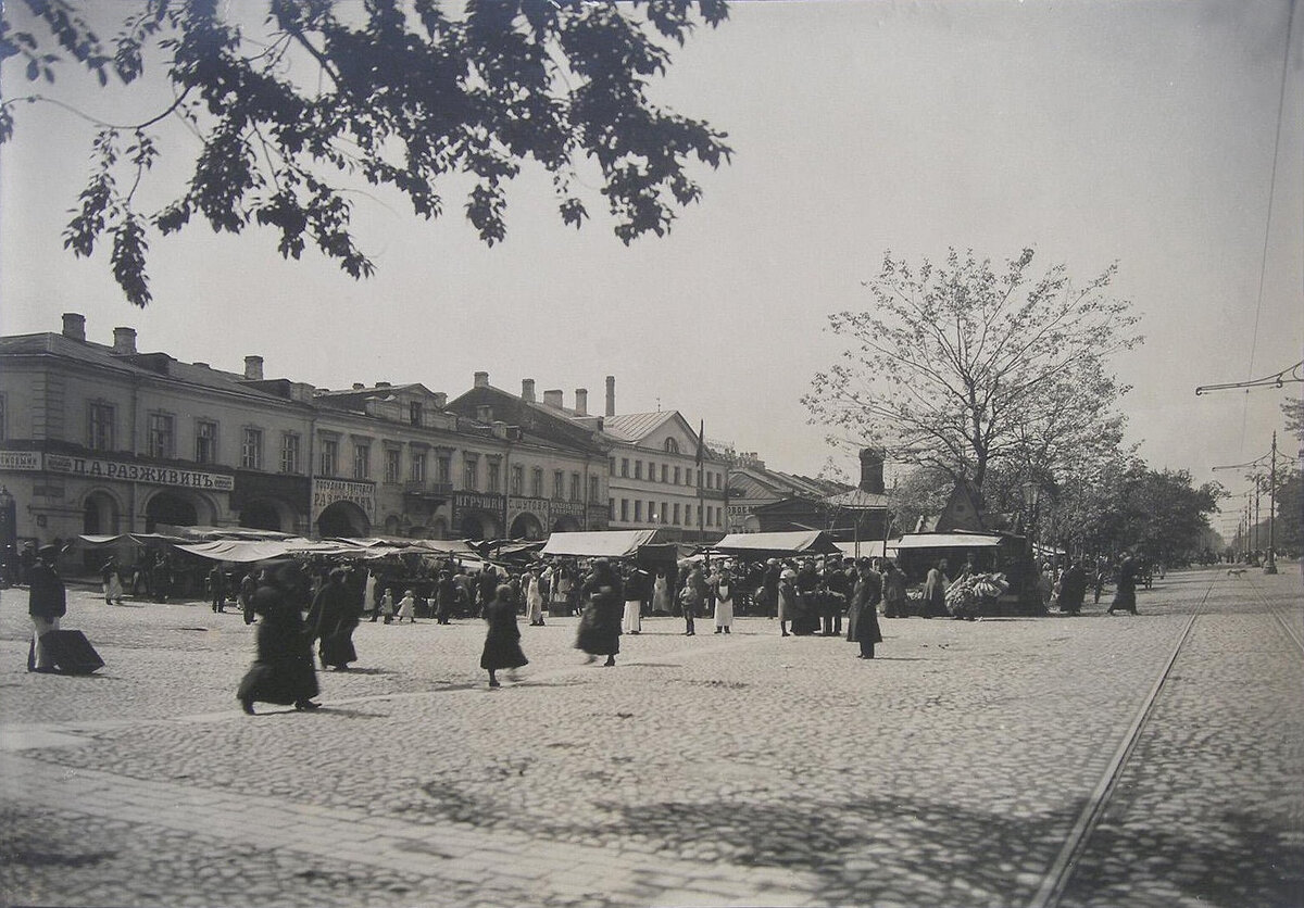 Каким был Санкт-Петербург в 1903 году? 14 исторических снимков | Путешествия  и всего по чуть-чуть | Дзен