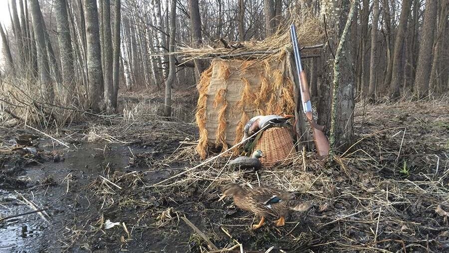 Скрадок в поле