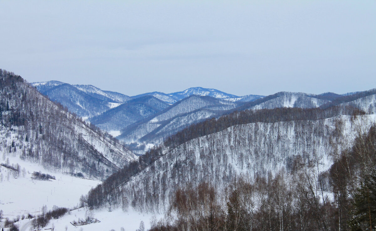 Горы села Пролетарка Алтайского района. Январь 2015 год.