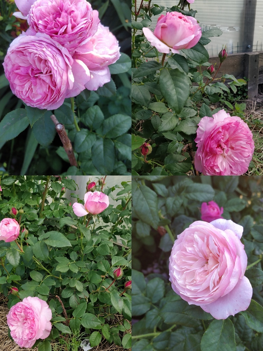 фото Уметь все