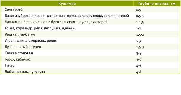Глубина посева семян перца
