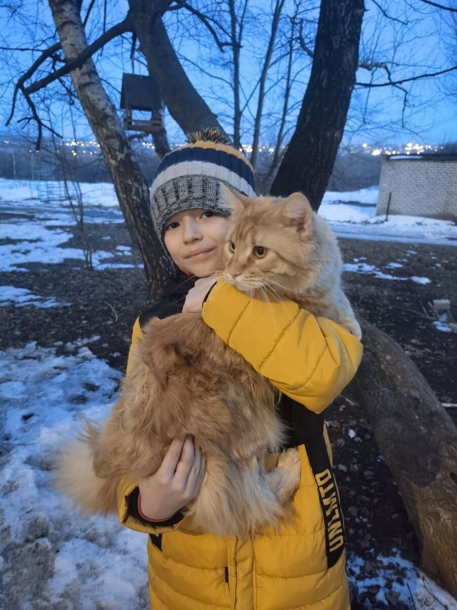 Симба не хочет смотреть в объектив камеры. Ему интересно, где тут бегают симпатичные мышки. Фото автора.