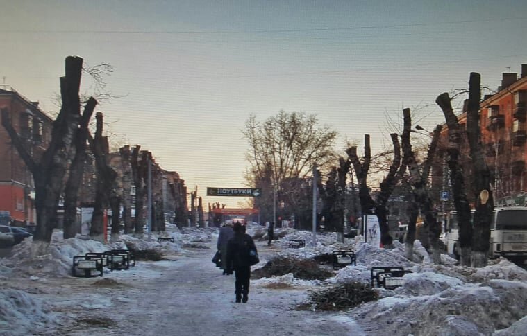 Фото Николай Коротков. Барнаульский бульвар.