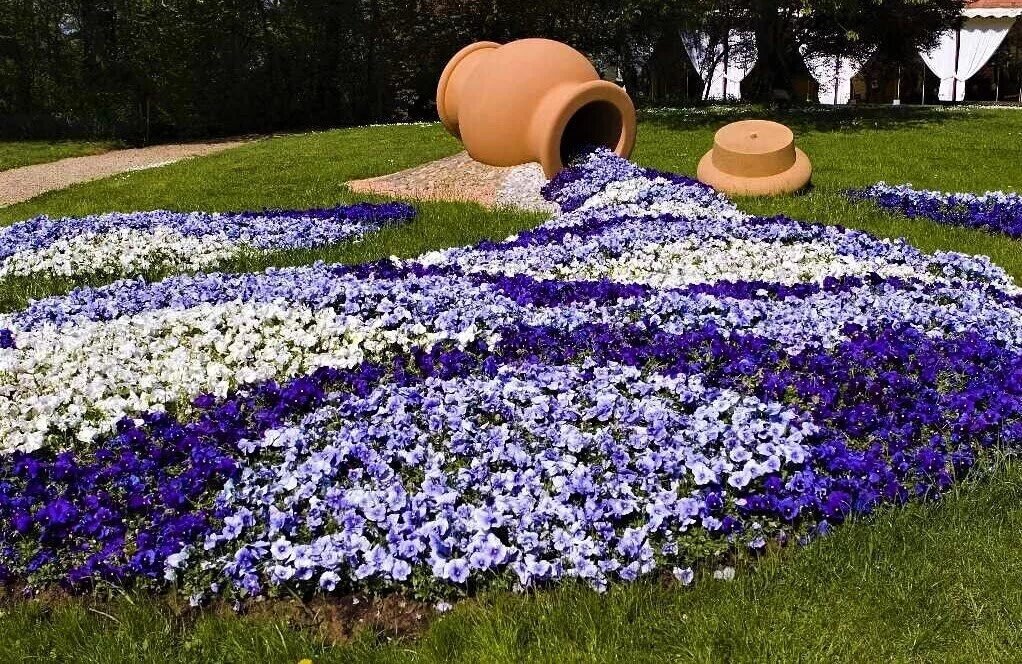 Лобелия ручей. Речка из цветов. Сухой ручей из цветов. Лобелия клумба ручей. Агератум алиссум вербена лобелия.