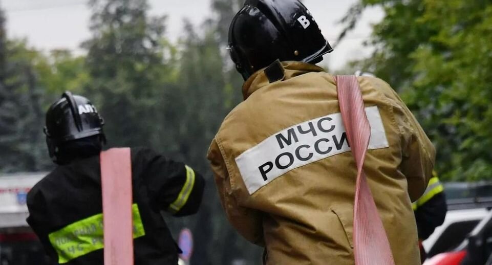    РИА «Новости»