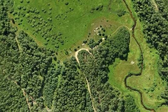    Подмосковье лидирует во внедрении цифровых технологий в лесной сектор России