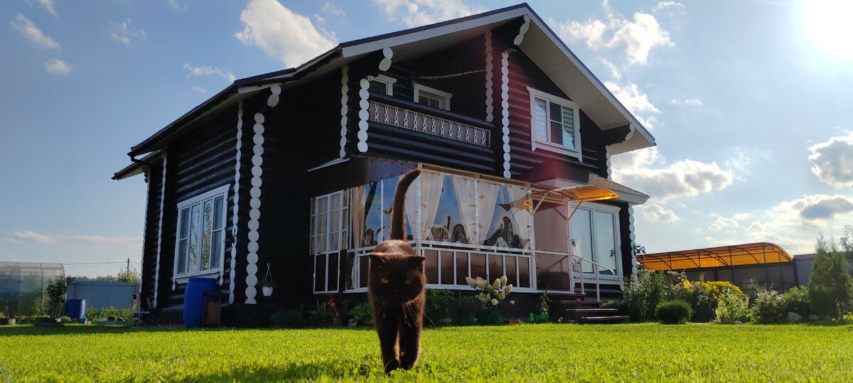 Наглядная высота травки! 