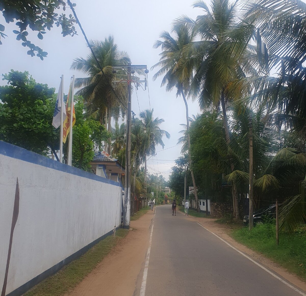 дорога в город