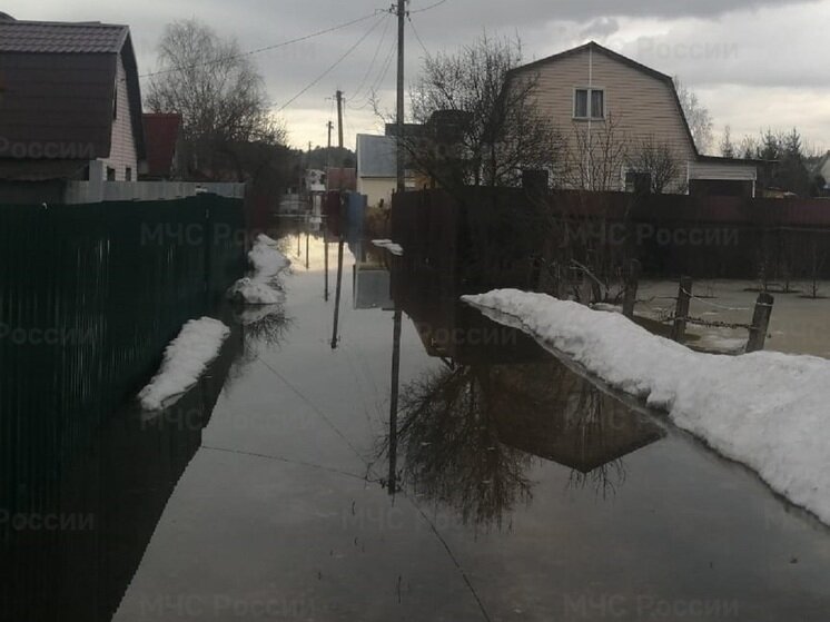     Фото: МЧС по Калужской области