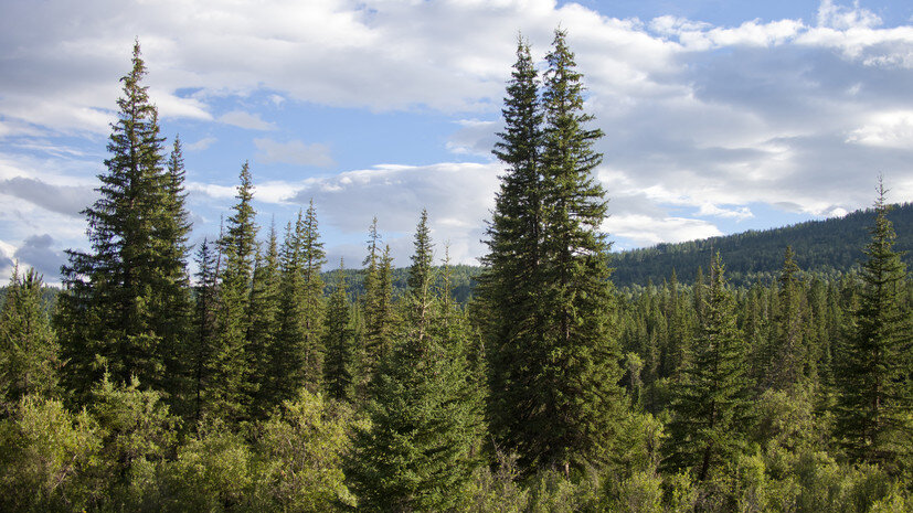   Gettyimages.ru Ukususha