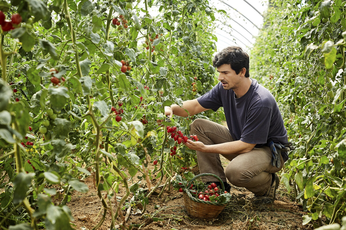     / Gettyimages.ru / Morsa Images