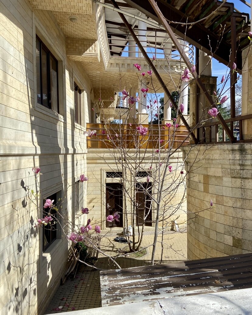 Эта малышка недалеко от дома