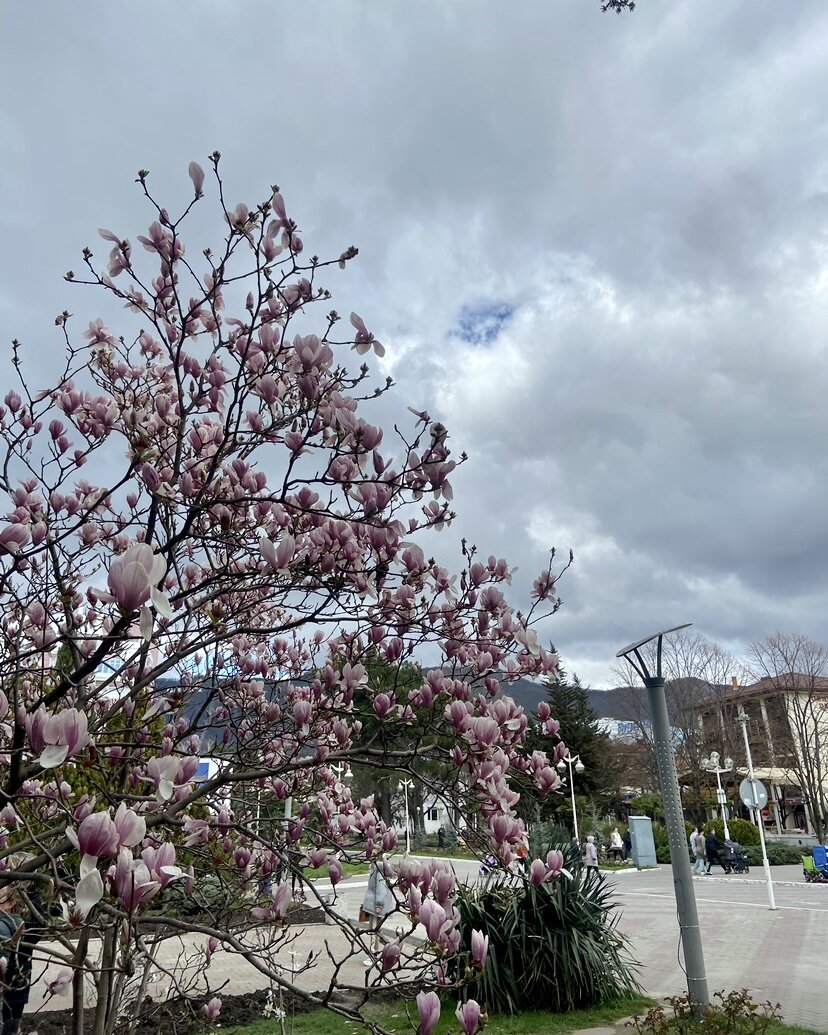 Это в центре города