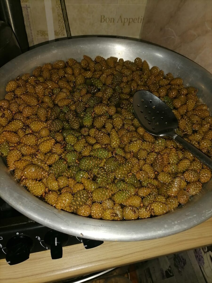 Процесс приготовления варенья из сосновых шишек