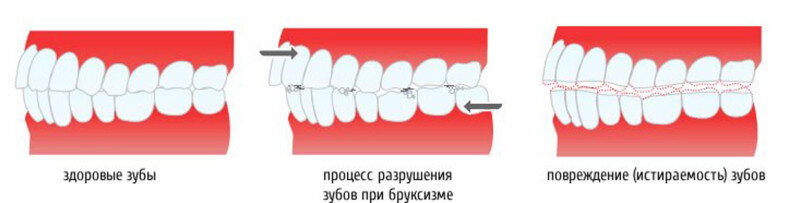 Фото взято из интернета 