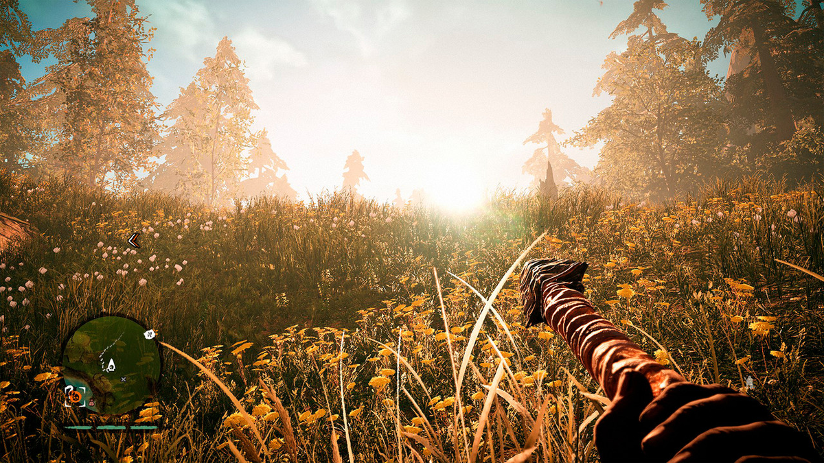 Пасторальная милота обманчива: через секунду из-за пригорка выскочит пантера!