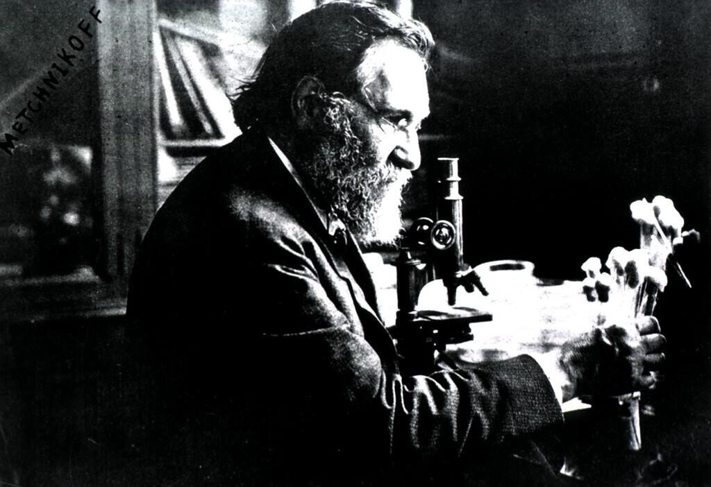 Il'ia Il'ich Mechnikov -  на JSTOR можно найти редкие изображения и публикации, которые помогут Вам в написании и оформлении ваших учебных и исследовательских работ.