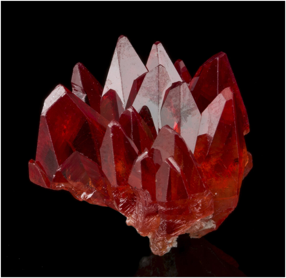 Гранат. Фото из Интернета.