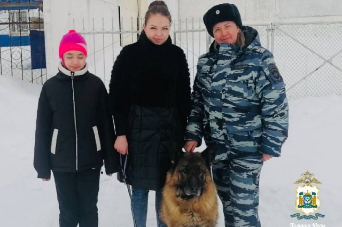    Корсара взяла к себе семья из поселка Сингапай Нефтеюганского района.