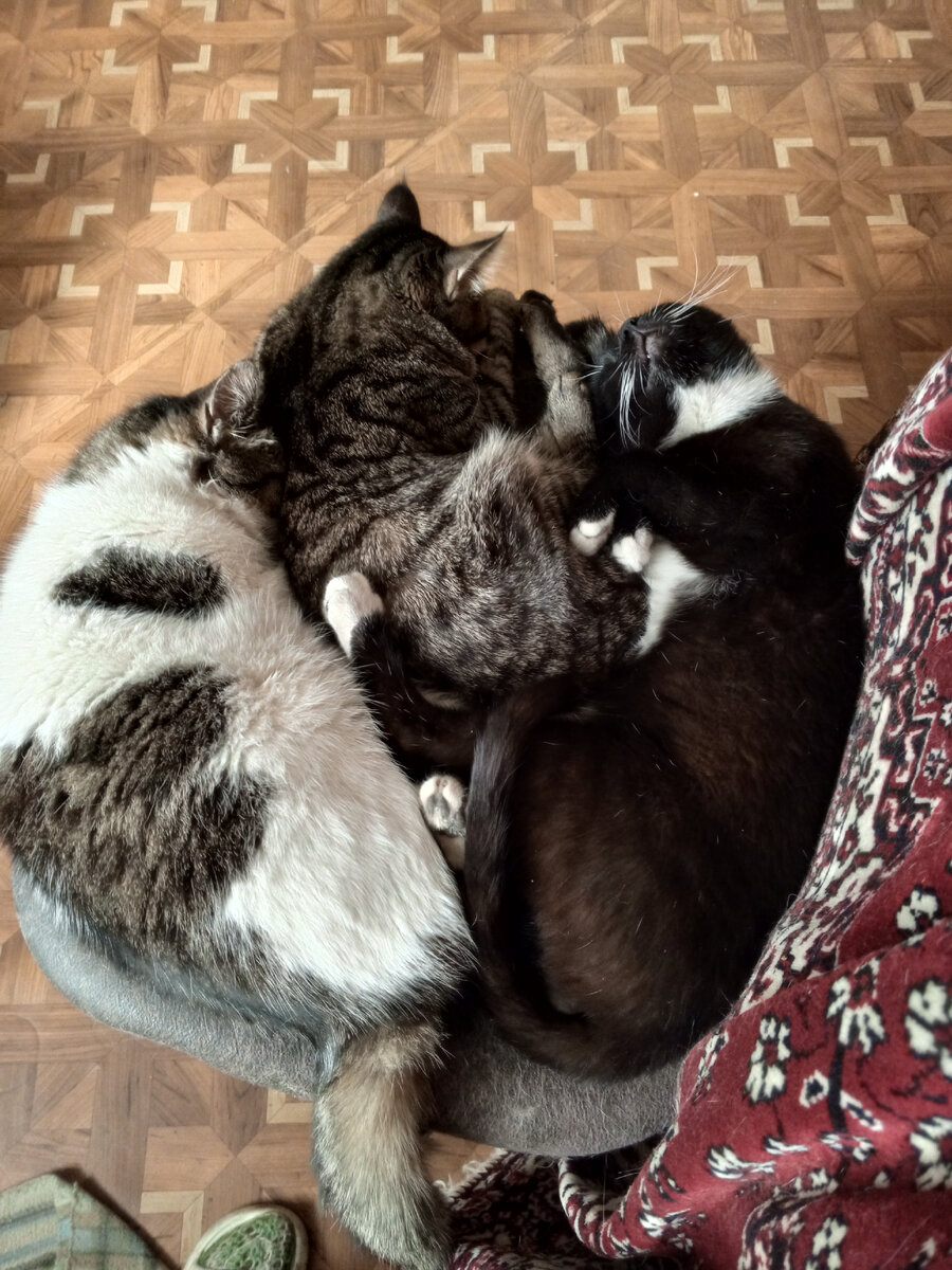 Успокоились.