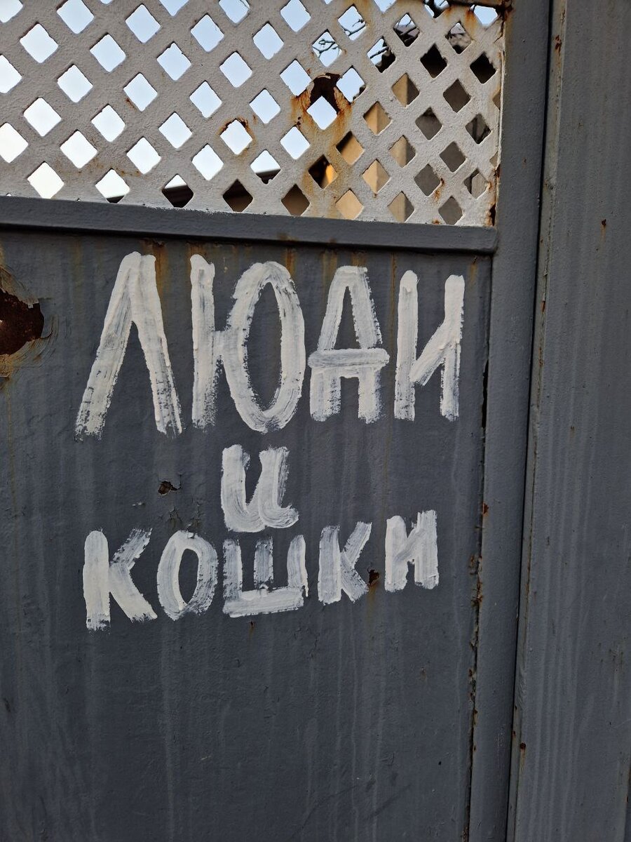 Фото реальное. Автор Женя Михайлова 