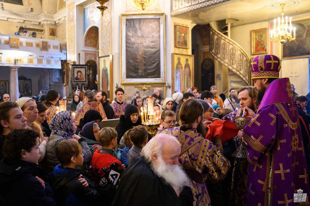 паисий великий и святой мученик уар икона. 102м премиум вагон люкс. вагон св самара адлер 117й. люкс св 1у. св н й.