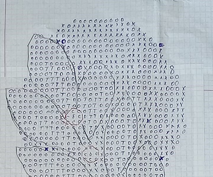 Тот еще шедевр. Фото автора