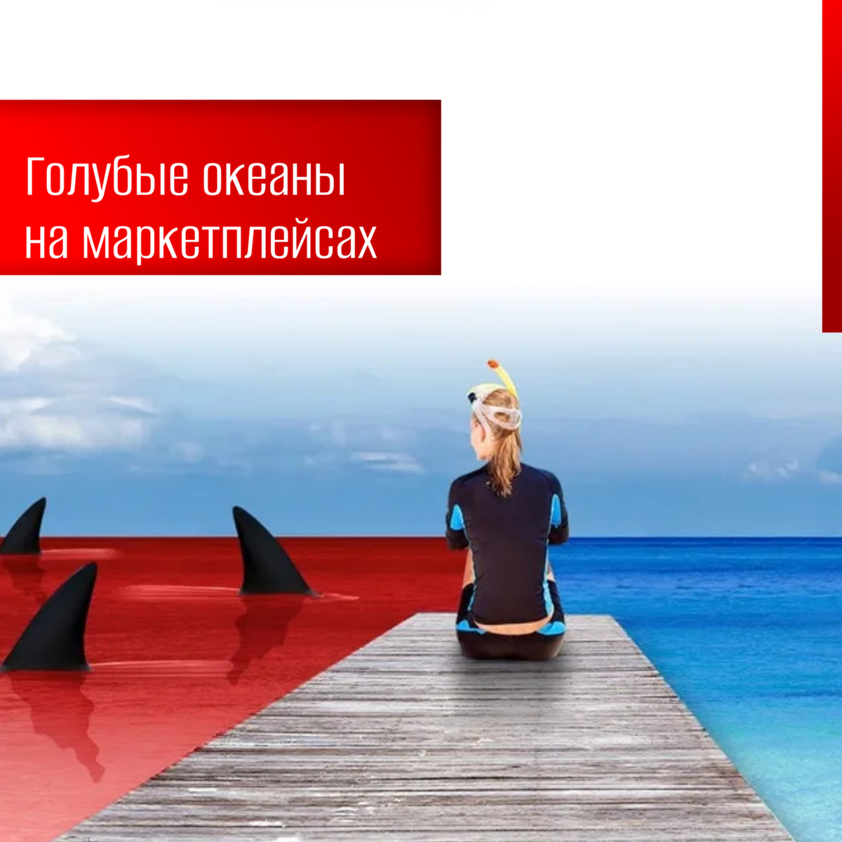 Стратегии "голубого и красного океана" на Озоне, Вайлдберис и других маркетплейсах / Обзор Дмитрия шалаева