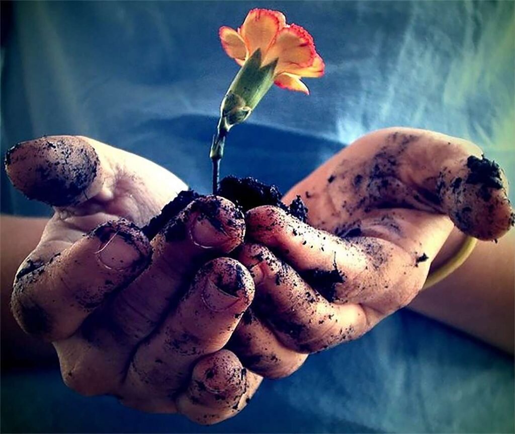 без труда не родится и ничего не вырастет 