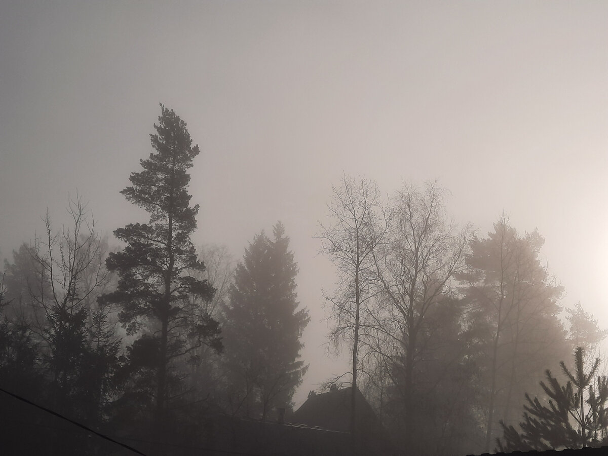 1Всем привет