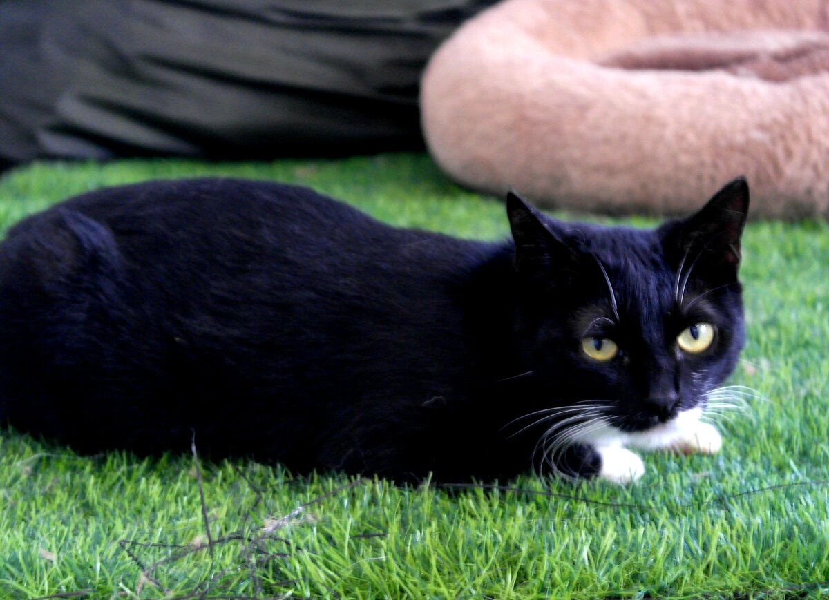 В жизни главное-не лениться, захотел поспать-поспи☝️