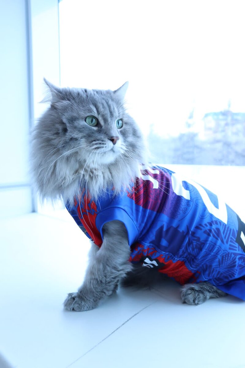 Лева в прекрасной форме. Во всех смыслах.