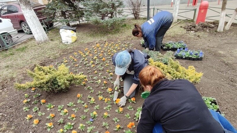    В городе-курорте планируют благоустроить 50 клумб по новой программе Фото: администрация Кисловодска