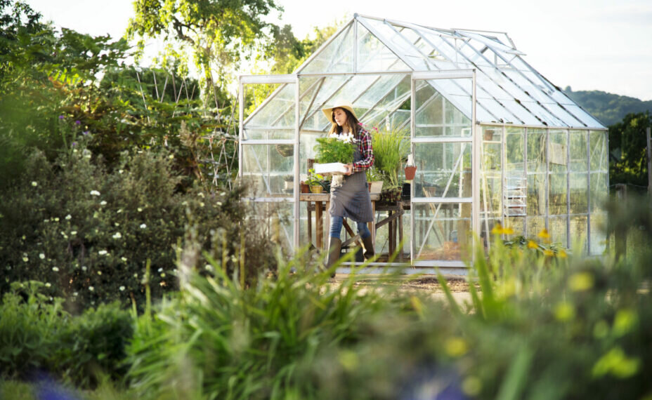 Можно избежать переплаты за рассаду и предметы интерьера для садового участка. Фото: Freepik