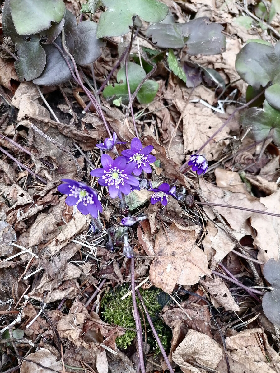 30 марта 2024 г.